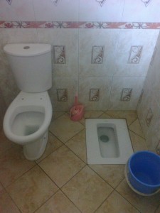 The curious trend of Albania double seat toilets